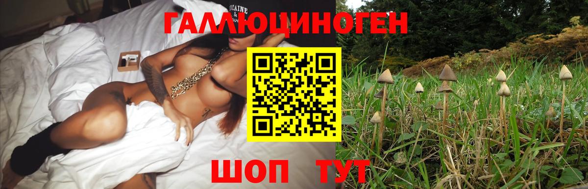 Богданович  Галлюциногенные грибы мицелий  Вход с VPN 